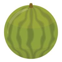 Whole watermelon icon, isometric style vector