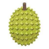 Whole durian icon, isometric style vector