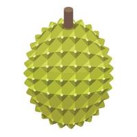 Whole durian icon, isometric style vector