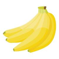 icono de plátano de rama fresca, estilo isométrico vector