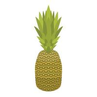 Whole pineapple icon, isometric style vector