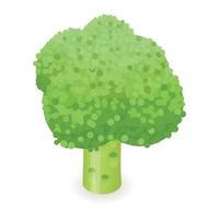 Broccoli icon, isometric style vector