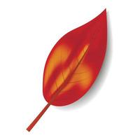 Autumn red leaf icon, realistic style vector