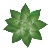 Fresh succulent icon, realistic style vector