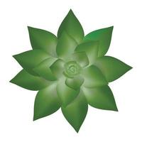 Fresh succulent icon, realistic style vector