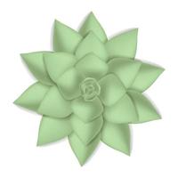 Green succulent icon, realistic style vector