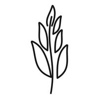 Sage plant icon outline vector. Herb leaf vector