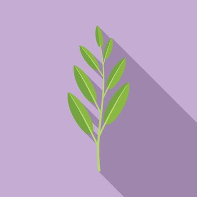 Sage plant icon flat vector. Herb leaf