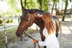 Using stethoscope. Female vet examining horse outdoors at the farm at daytime photo