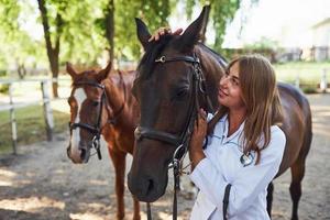 Female vet examining horse outdoors at the farm at daytime photo