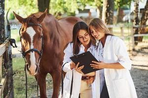 Reading documents. Two female vets examining horse outdoors at the farm at daytime photo
