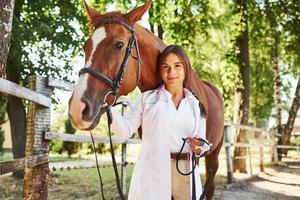 Front view. Female vet examining horse outdoors at the farm at daytime photo