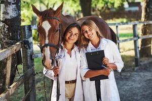 Always happy to help you. Two female vets examining horse outdoors at the farm at daytime photo