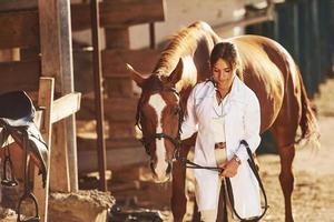 Beautiful sunlight. Female vet examining horse outdoors at the farm at daytime photo