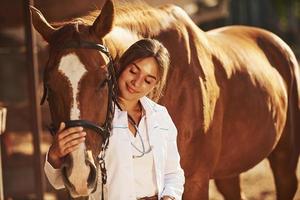 Beautiful sunlight. Female vet examining horse outdoors at the farm at daytime photo