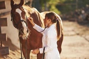 Using stethoscope. Female vet examining horse outdoors at the farm at daytime photo