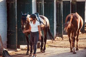 Ready for the ride. Horsewoman in uniform and black protective helmet with her horse photo