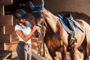 Animal is in blue clothes. Horsewoman in uniform and black protective helmet with her horse photo