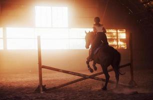 Majestic image of horse silhouette with rider on sunset background. The girl jockey on the back of a stallion rides in a hangar on a farm