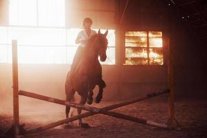 majestuosa imagen de silueta de caballo con jinete sobre fondo de puesta de sol. la chica jockey en la parte trasera de un semental monta en un hangar en una granja foto