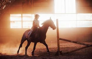 Majestic image of horse silhouette with rider on sunset background. The girl jockey on the back of a stallion rides in a hangar on a farm