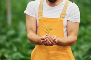 Holding plant in hands. Young greenhouse worker in yellow uniform have job inside of hothouse photo