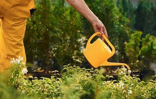 Senior woman in yellow colored uniform is in the garden at daytime watering plants photo