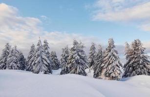 cielo nublado. mágico paisaje invernal con árboles cubiertos de nieve durante el día