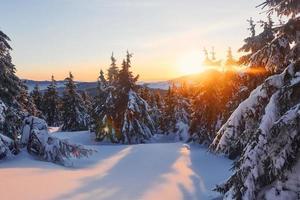 Bright sun beam goes from behind of majestic mountain. Magical winter landscape with snow covered trees at daytime photo