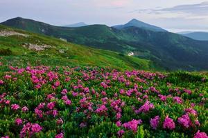 Majestic Carpathian mountains. Beautiful landscape. Breathtaking view photo