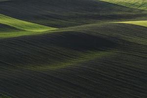 Rural scene. Green agricultural fields of Moravia at daytime. Nice weather photo