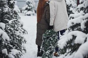 Young couple walking with new christmas tree for the holidays outdoors photo