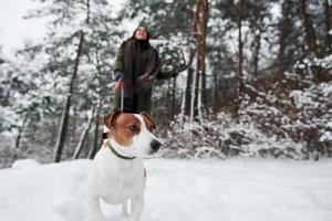 lindo animal quiere descubrir algunos lugares nuevos. morena sonriente divirtiéndose mientras camina con su perro en el parque de invierno foto