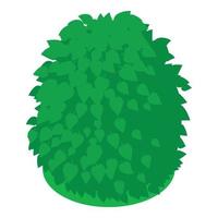 Green bush icon isometric vector. Natural green decorative shaped shrub icon vector