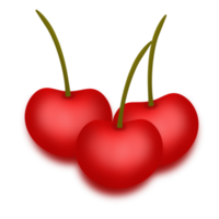Cherry berry fruit png