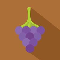 Black grape icon, flat style vector