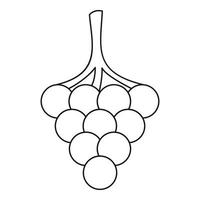 Grape icon, outline style vector