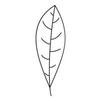 Tree leaf icon, outline style vector