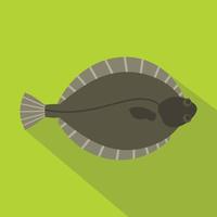 Flounder fish icon, flat style vector