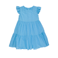 blauw kinderen jurk baby meisje met besnoeiing uit geïsoleerd Aan achtergrond transparant png