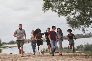 That was nice day. Group of multi ethnic friends have a walk with dog on beach photo
