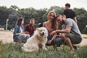 perro mira a la cámara. grupo de personas hacen picnic en la playa. los amigos se divierten el fin de semana foto