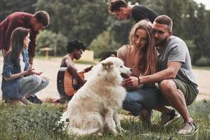 They love their pet. Group of people have picnic on the beach. Friends have fun at weekend time photo