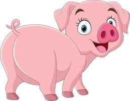 Cartoon funny pig on white background vector