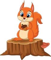 Cartoon funny squirrel holding a pine cone on tree stump vector