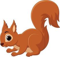 Cartoon happy squirrel isolated on white background vector