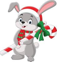 Cartoon rabbit wearing scarf and hat holding candy cane vector