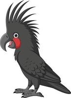 Cartoon Palm Cockatoo on White Background vector