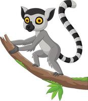 caricatura, lindo, lemur, en, rama de árbol vector