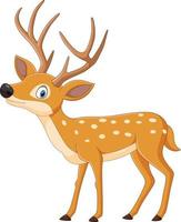 Cartoon funny deer on white background vector